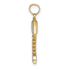 14K w/Rhodium 3-D Fishbone Charm