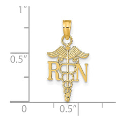 14k Polished R.N. Pendant - 2