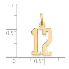 14k Small Elongated Number 12 Charm