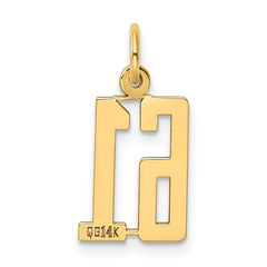 14k Small Elongated Number 61 Charm