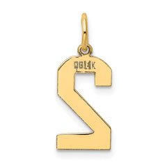 14k Medium Polished Number 2 Charm - 2