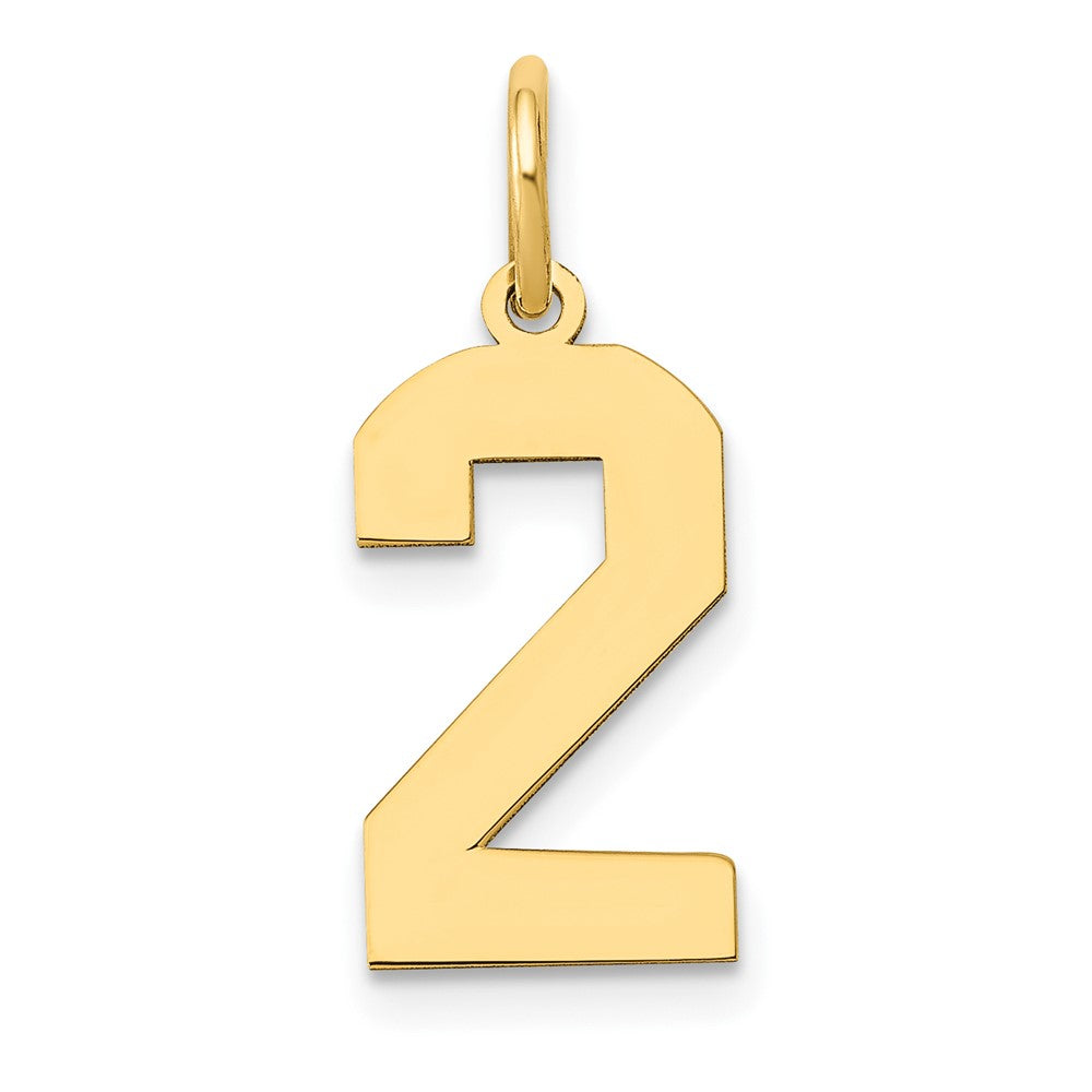 14k Medium Polished Number 2 Charm - 2