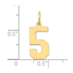 14k Medium Polished Number 5 Charm - 2