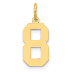 14k Medium Polished Number 8 Charm