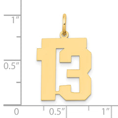 14k Medium Polished Number 13 Charm