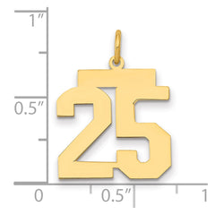 14k Medium Polished Number 25 Charm - 2