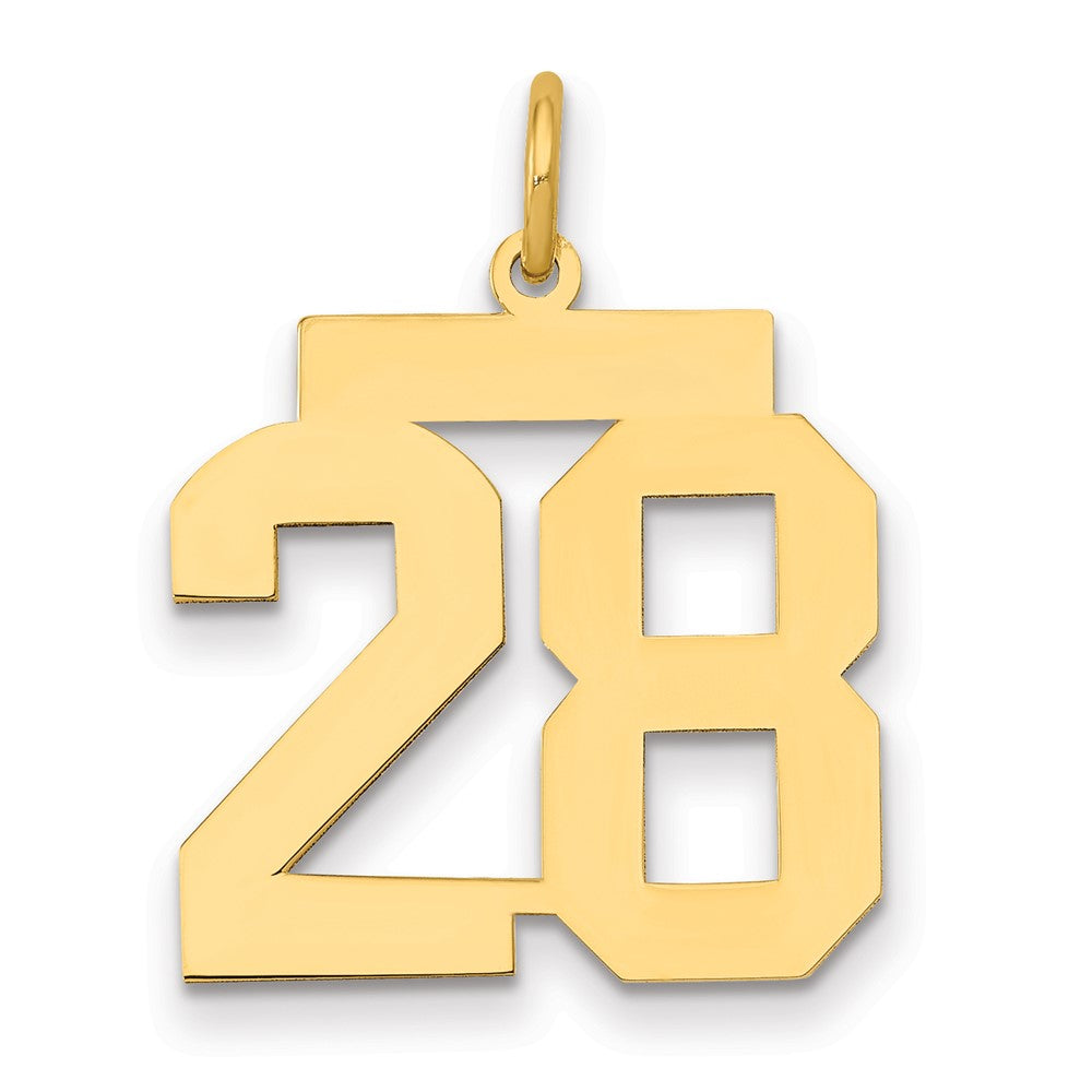 14k Medium Polished Number 28 Charm - 2
