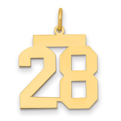 14k Medium Polished Number 28 Charm