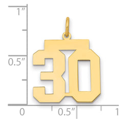14k Medium Polished Number 30 Charm - 2