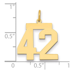 14k Medium Polished Number 42 Charm - 2