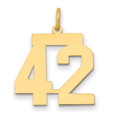 14k Medium Polished Number 42 Charm - 2