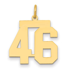 14k Medium Polished Number 46 Charm