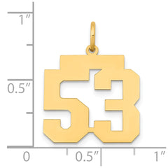 14k Medium Polished Number 53 Charm