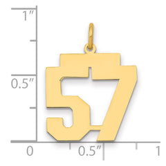 14k Medium Polished Number 57 Charm - 2