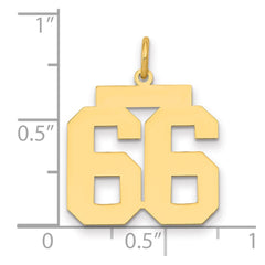 14k Medium Polished Number 66 Charm - 2