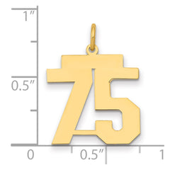 14k Medium Polished Number 75 Charm