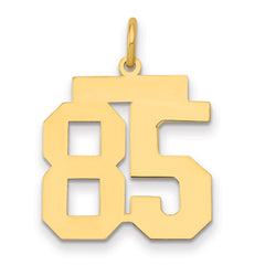 14k Medium Polished Number 85 Charm