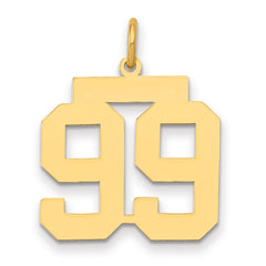 14k Medium Polished Number 99 Charm