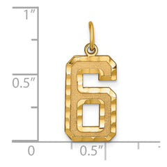 14k Large Brushed Diamond-cut  Number 6 Charm