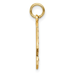 14k Large Brushed Diamond-cut  Number 9 Charm