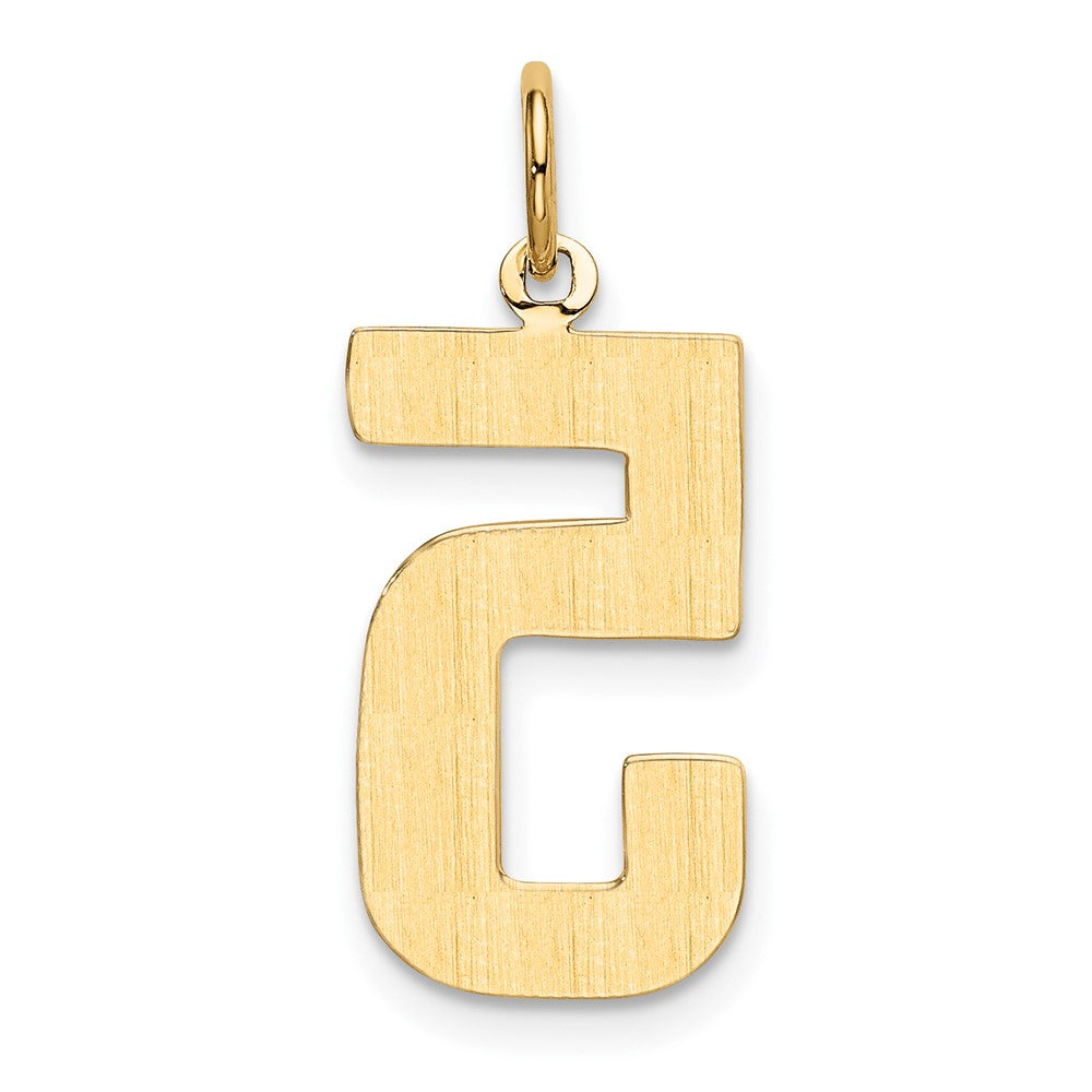 14k  Large Polished Number 5 Charm