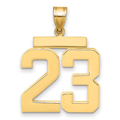 14k Large Polished Number 23 Charm