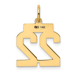 14k Small Polished Number 22 Charm
