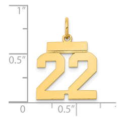 14k Small Polished Number 22 Charm