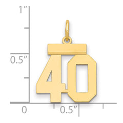 14k Small Polished Number 40 Charm
