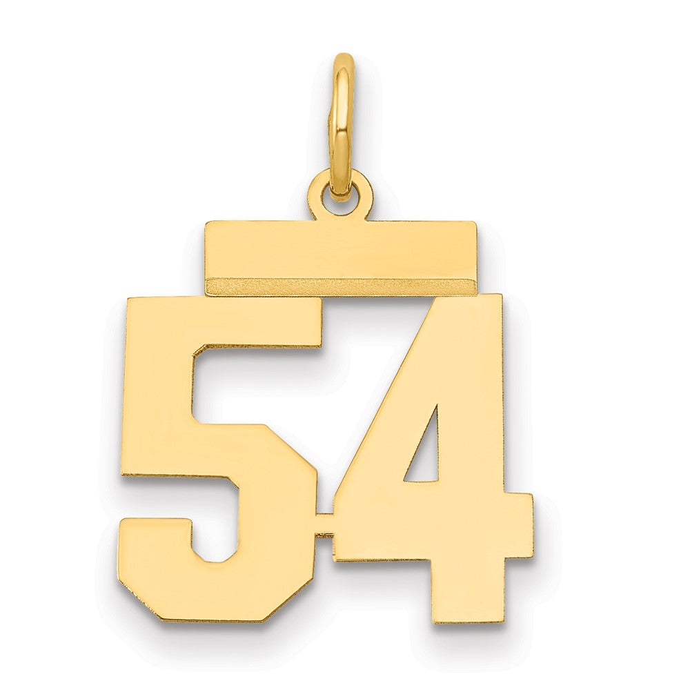 14k Small Polished Number 54 Charm - 2