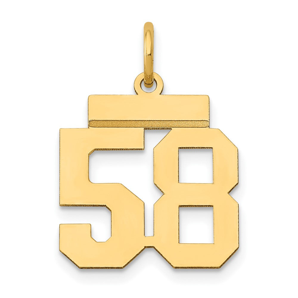 14k Small Polished Number 58 Charm - 2
