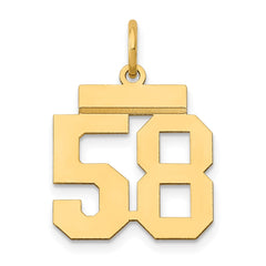 14k Small Polished Number 58 Charm - 2