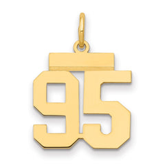 14k Small Polished Number 95 Charm - 2