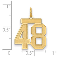 14k Medium Satin Number 48 Charm