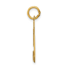 14k Medium Satin Number 50 Charm