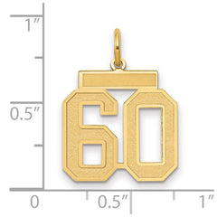 14k Medium Satin Number 60 Charm