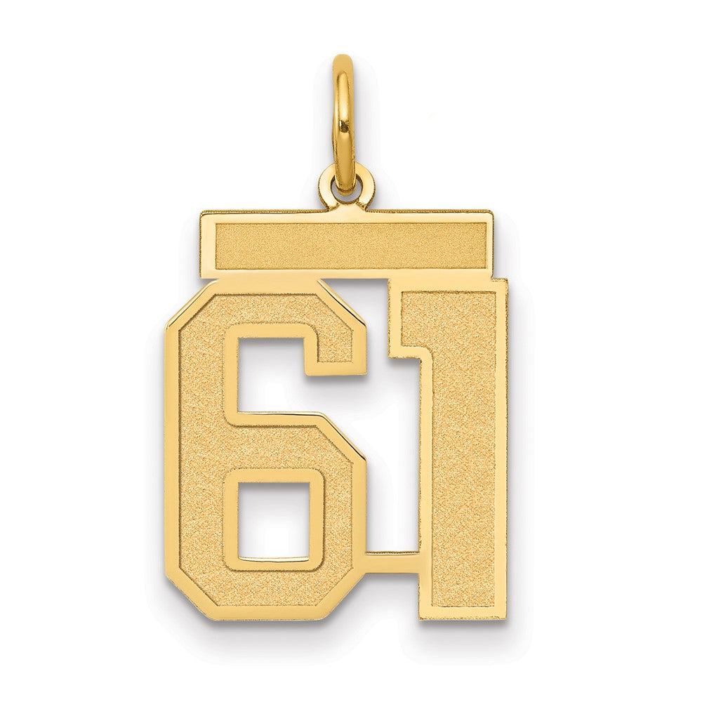 14k Medium Satin Number 61 Charm