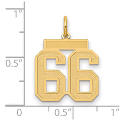 14k Medium Satin Number 66 Charm
