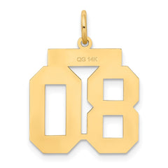 14k Medium Satin Number 80 Charm