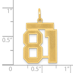 14k Medium Satin Number 81 Charm