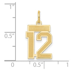 14k Small Satin Number 12 Charm