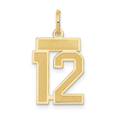 14k Small Satin Number 12 Charm