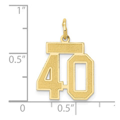 14k Small Satin Number 40 Charm