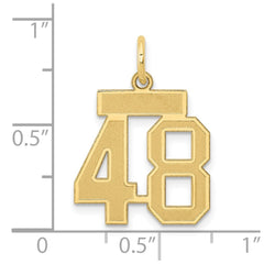 14k Small Satin Number 48 Charm