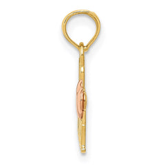 14k Two-Tone WE LOVE NANA Charm