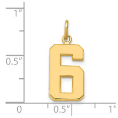 14k Medium Polished Number 6 Charm - 2
