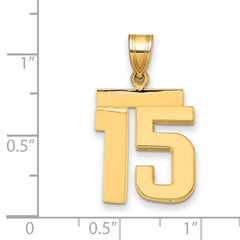 14k Medium Polished Number 15 Charm