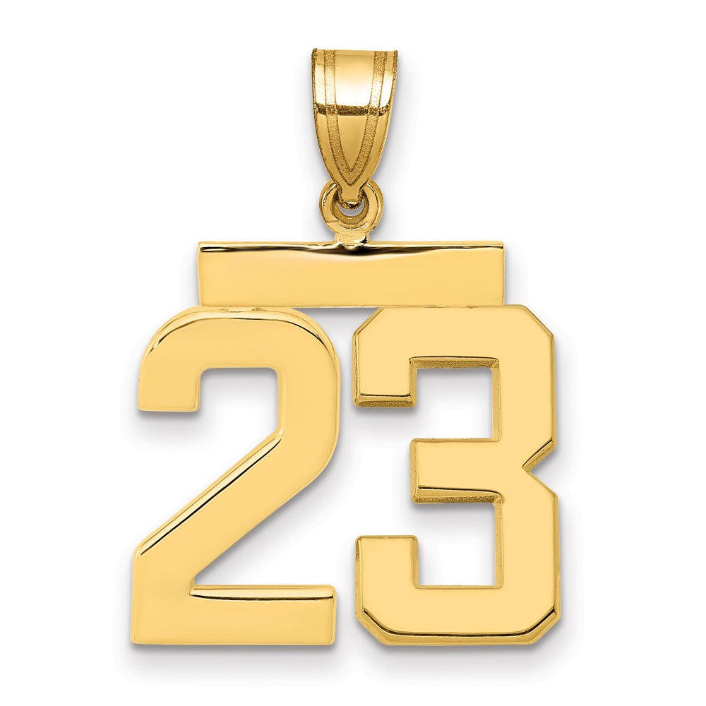 14k Medium Polished Number 23 Charm - 2