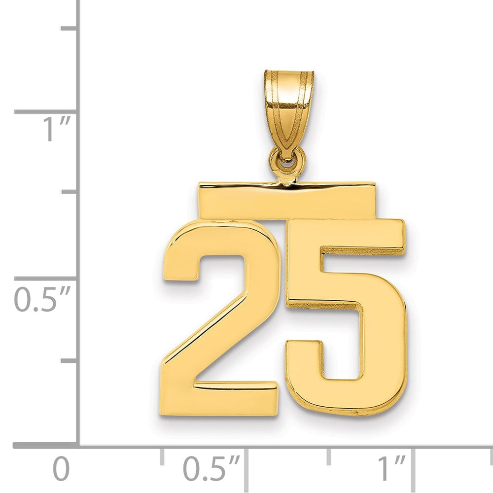 14k Medium Polished Number 25 Charm