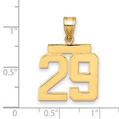 14k Medium Polished Number 29 Charm